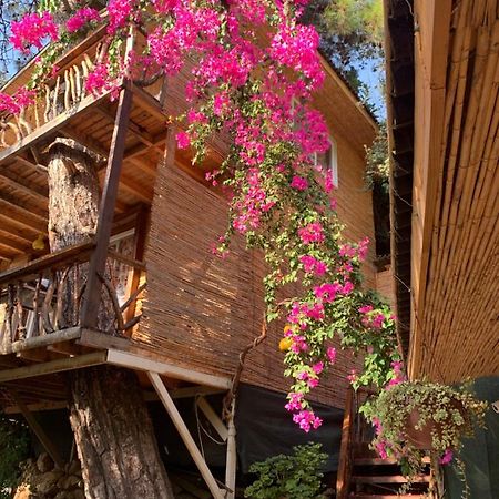 Large Bungalow With Sea View In Kabak Bay, Oeluedeniz Fethiye Exteriér fotografie