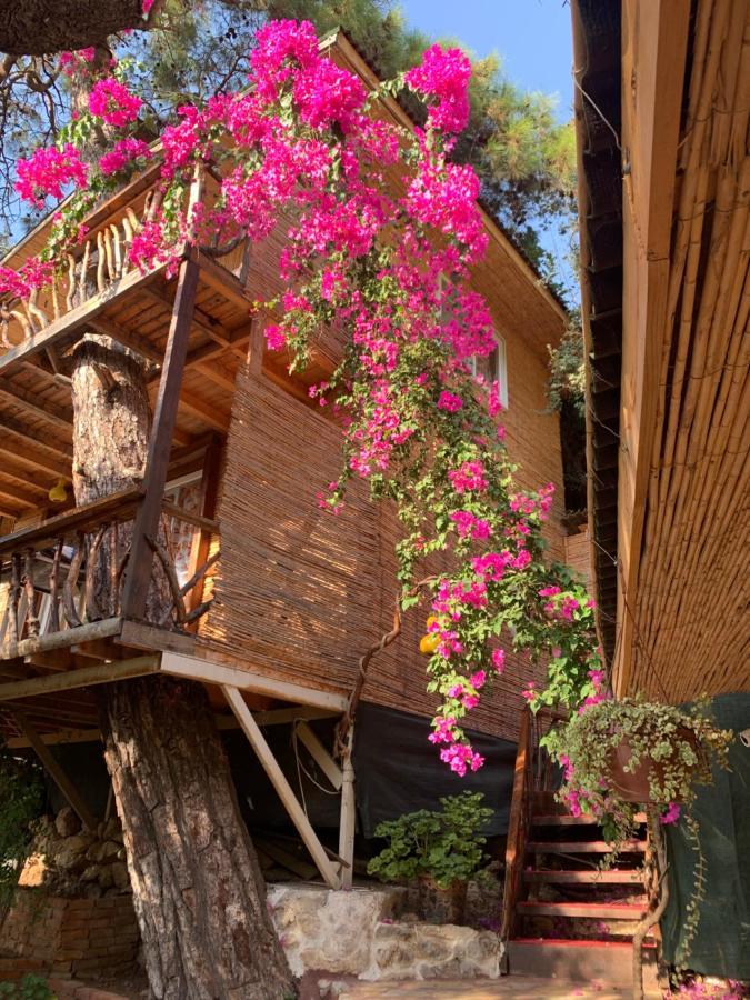 Large Bungalow With Sea View In Kabak Bay, Oeluedeniz Fethiye Exteriér fotografie