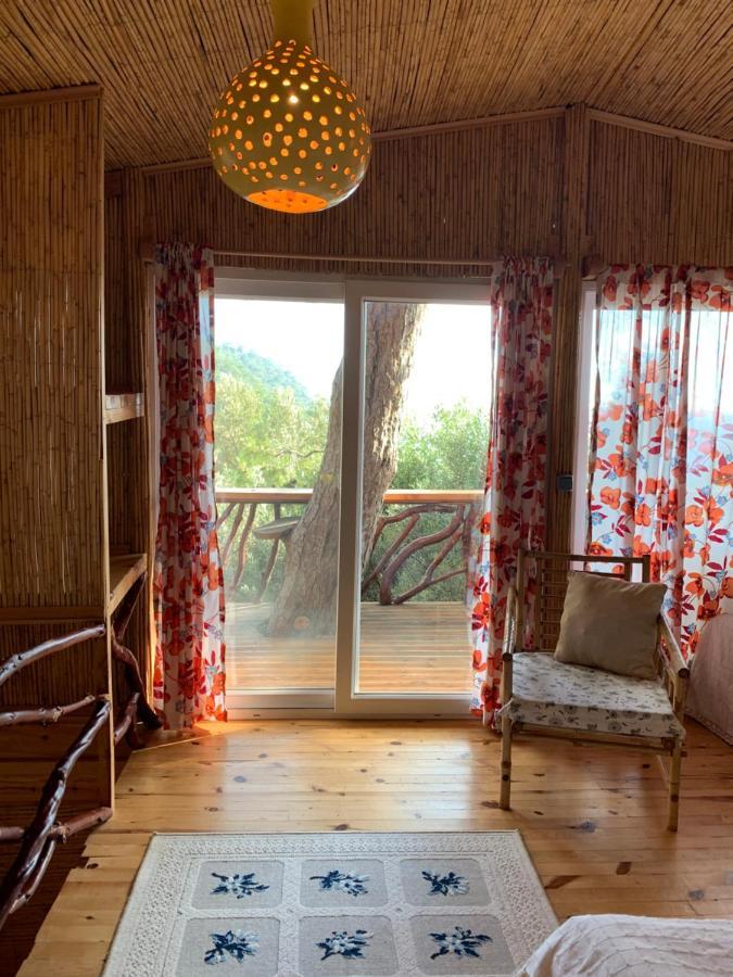 Large Bungalow With Sea View In Kabak Bay, Oeluedeniz Fethiye Exteriér fotografie