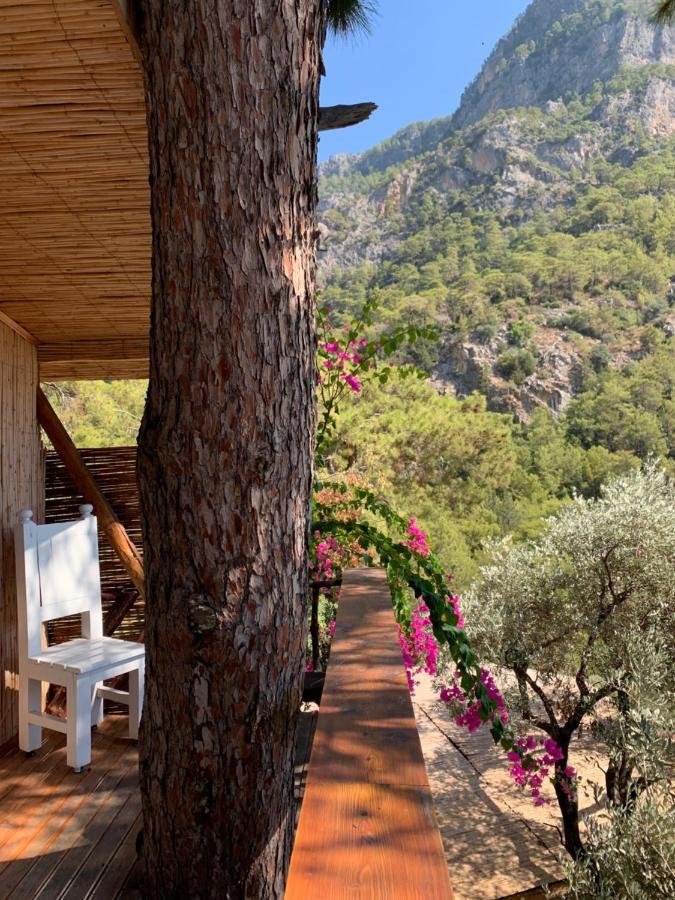 Large Bungalow With Sea View In Kabak Bay, Oeluedeniz Fethiye Exteriér fotografie